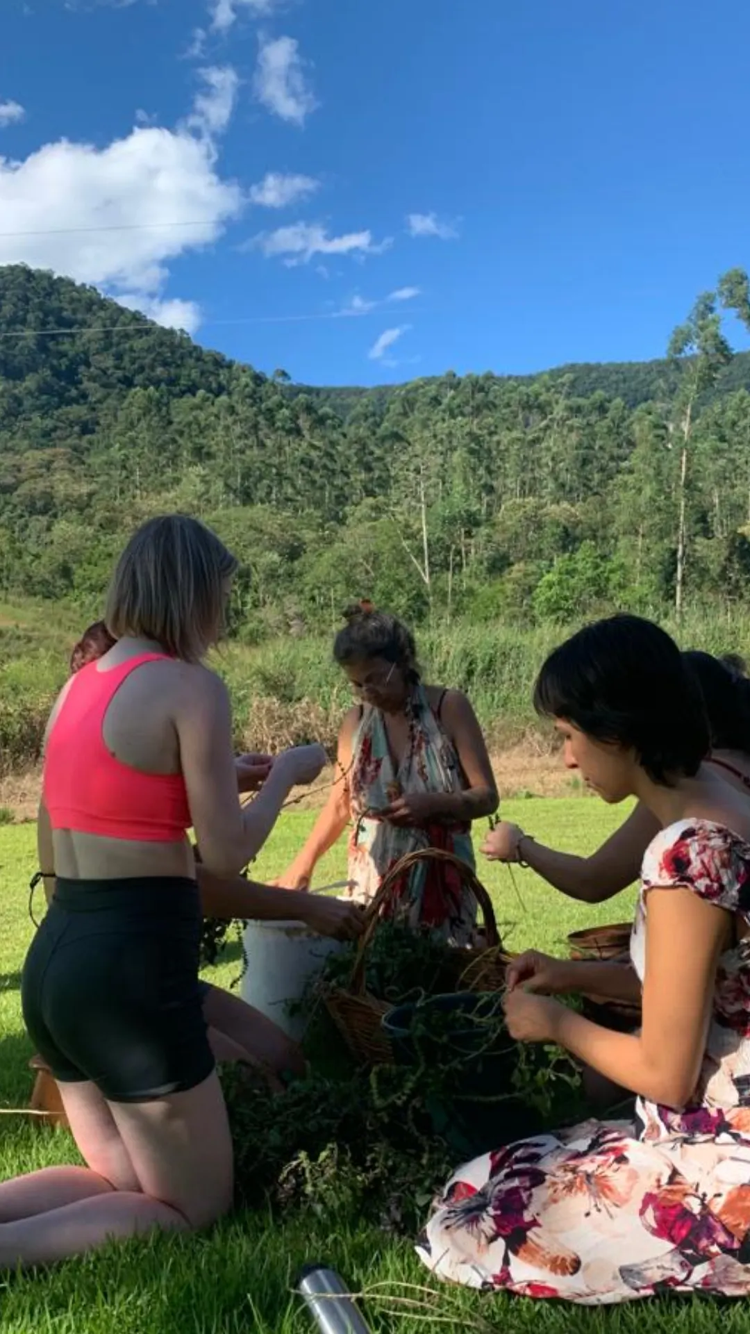 Grupo colhendo e preparando plantas medicinais em campo aberto entre montanhas